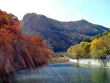 肉馅稀了如何变干点，xiangcun